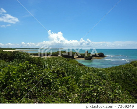 Okinawa - Shinjojima (Panari Island) Okinawa - Shinjojima (Panari Island) 7269249
