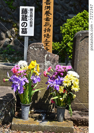 Katsugoro的前代Fujizo墓（Takahata Fudosumi（Kanemura）/ Takahata，東京都） 7272347