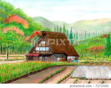 country country 7272408