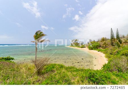 夏威夷莫洛凱島墨菲海灘 夏威夷莫洛凱島墨菲海灘 7272485