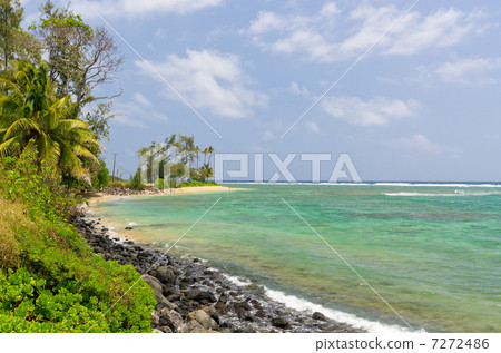 夏威夷莫洛凱島墨菲海灘 7272486