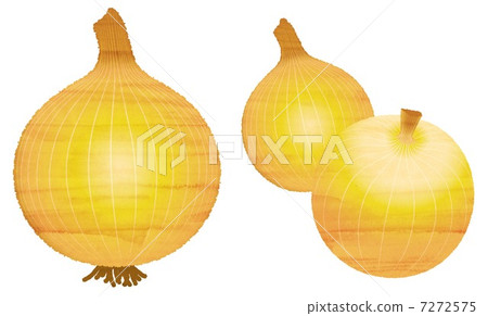 Watercolor-style onion Watercolor-style onion 7272575