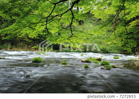 Yamanaka Onsen Stroll 7272653
