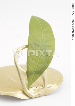 Empty can pull tab Empty can pull tab 7272880