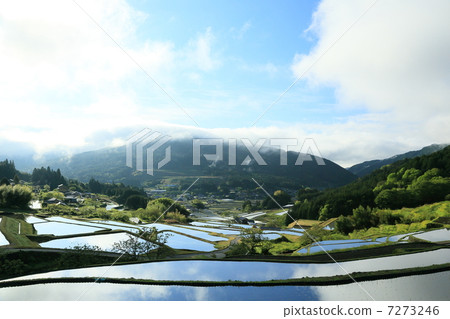 I also play rice terraces I also play rice terraces 7273246