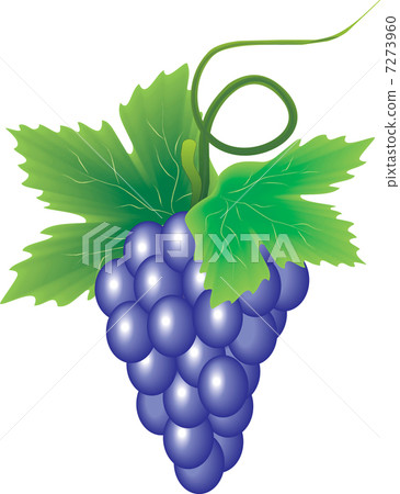 branch of grape branch of grape 7273960