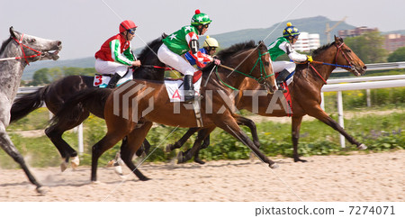 Horse racing at the hippodrome in Pyatigorsk. Horse racing at the hippodrome in Pyatigorsk. 7274071