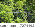 Tenryukyo 7274498