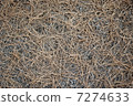 Pine Needles Background 7274633