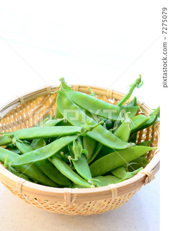 Silk sheath Silk sheath 7275079