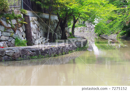 新鮮的綠色Yahata護城河和散步 7275152