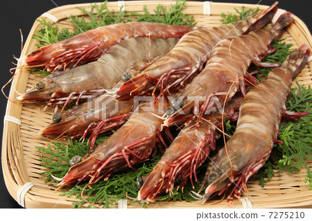 魚貝類甲殼動物蝦黃蝦蝦什錦新鮮食品海鮮原料 7275210