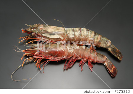 魚貝類甲殼動物蝦黃頭採摘新鮮食品海鮮成分 魚貝類甲殼動物蝦黃頭採摘新鮮食品海鮮成分 7275213