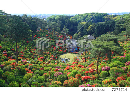 鹽船觀音 7275714