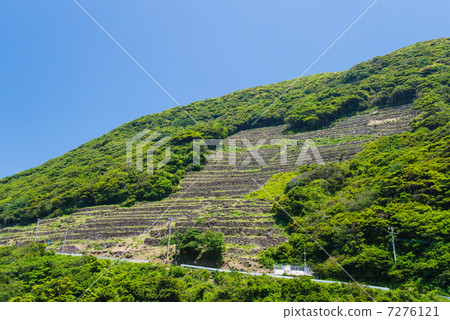 谷山的梯田 7276121