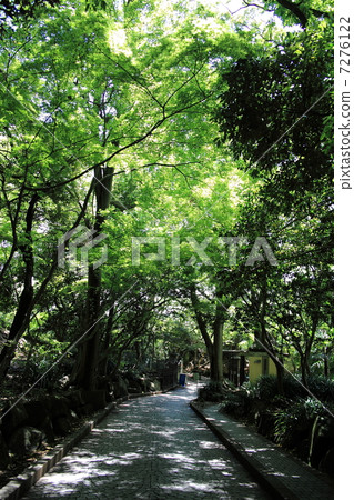 鮮綠色 鮮綠色 7276122