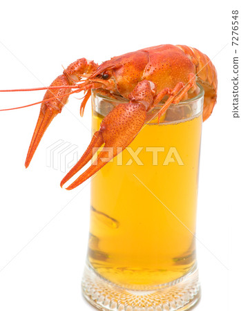 glass of beer and boiled crawfish closeup on white background glass of beer and boiled crawfish closeup on white background 7276548