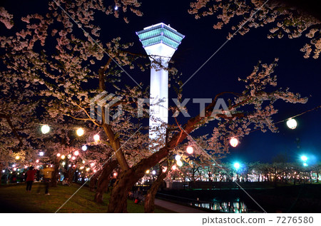 Goryokoro塔和晚上的櫻花樹 Goryokoro塔和晚上的櫻花樹 7276580