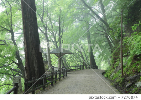 Fresh green of Konami River Fresh green of Konami River 7276874