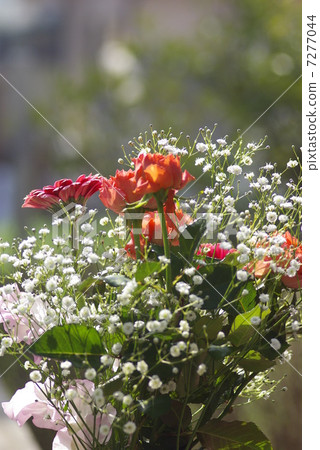 鮮花包裹著光 鮮花包裹著光 7277044