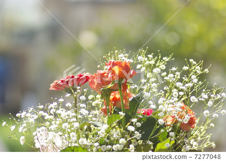 鮮花包裹著光 鮮花包裹著光 7277048