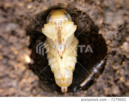 Sharp geneproduct pupa 7279002
