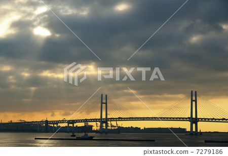 橫濱大碼頭 7279186