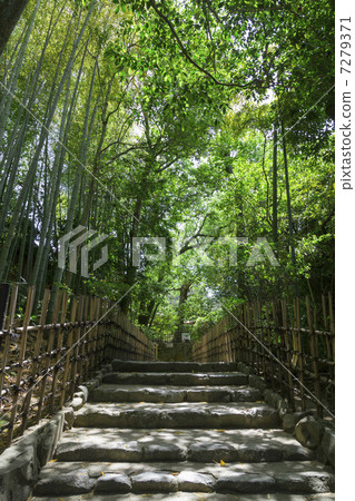 Bamboo grove of Shisendo 7279371