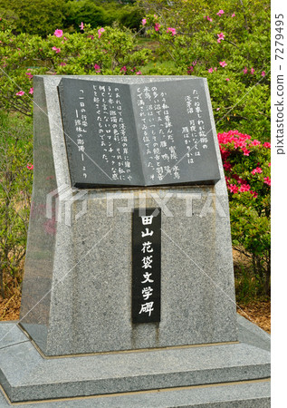 Walking around Tatebayashi · Prefectural Azalea Oka Park Tayama flower bag literary monument 7279495