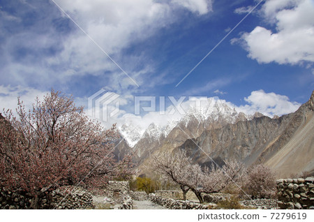 罕薩的春天 7279619