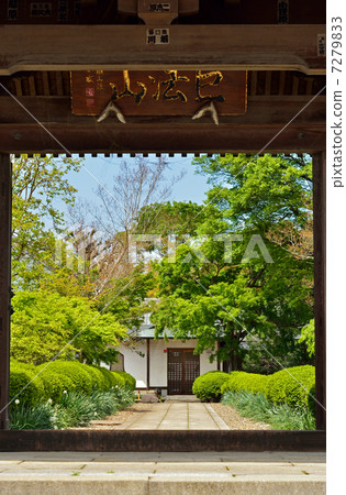 走在Tatebayashi / Zencho-ji寺門 走在Tatebayashi / Zencho-ji寺門 7279833