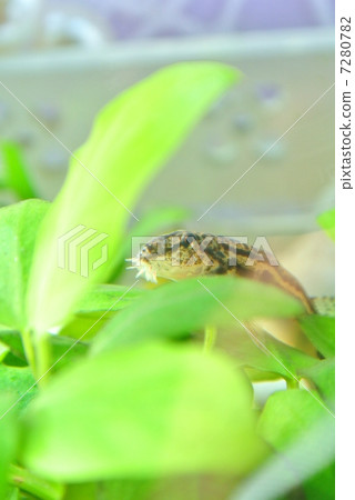 Yamato Shimada Dojo to take a break Yamato Shimada Dojo to take a break 7280782