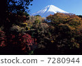Yellow leaves and Fuji Yellow leaves and Fuji 7280944