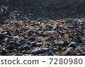 Frost falling leaves Frost falling leaves 7280980