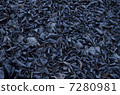 Frost falling leaves Frost falling leaves 7280981