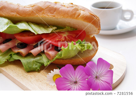 Sandwich Sandwich 7281556