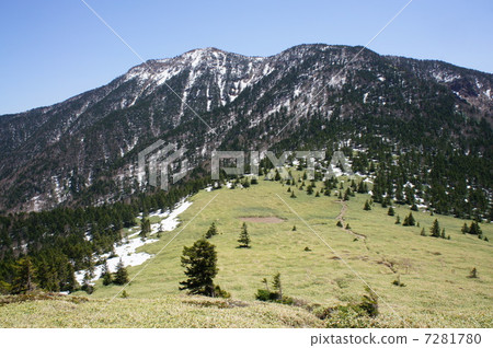 Mt. Mt. 7281780