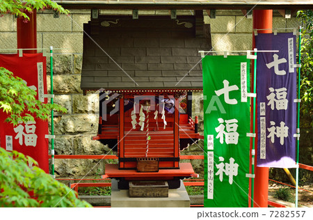 Walking in Tatebayashi · Takeo Benedetti of flowers Walking in Tatebayashi · Takeo Benedetti of flowers 7282557