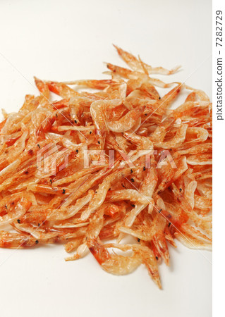 Cherry shrimp 7282729