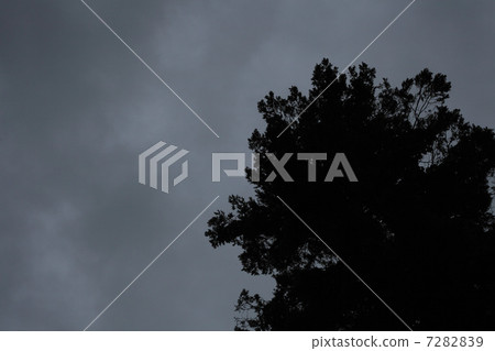 雀巢在烏雲中 7282839