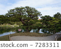 Rurin公園夫婦杉木 7283311