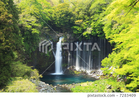 富士山腳下的白馬瀑布 7283409