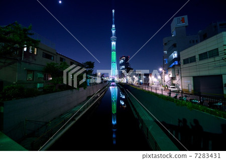 Invert sky tree 7283431