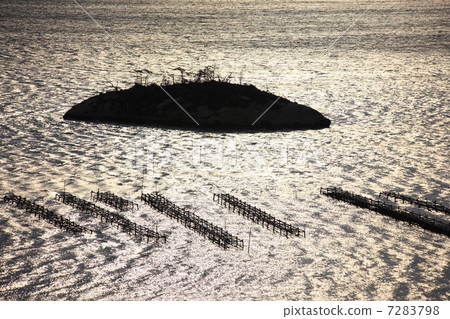 Matsushima Bay in the early morning 7283798