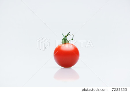 Tomato   7283833