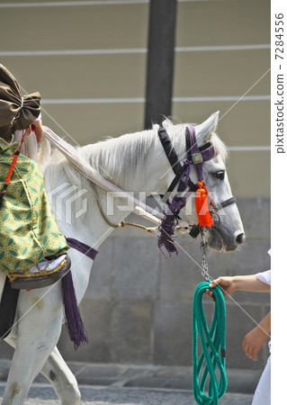 Aoi festival horses 7284556