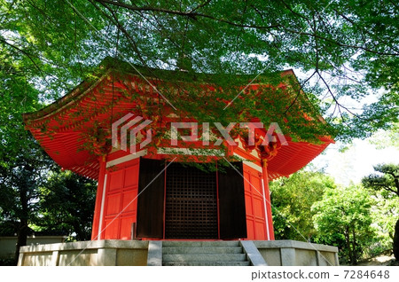 Tofukuji temple of fresh green 7284648