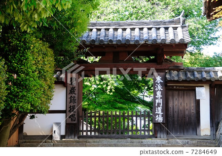 Tofukuji temple of fresh green Tofukuji temple of fresh green 7284649