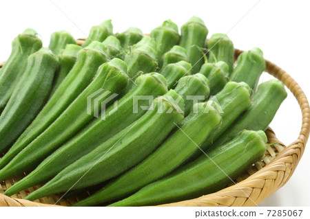 Okra 7285067