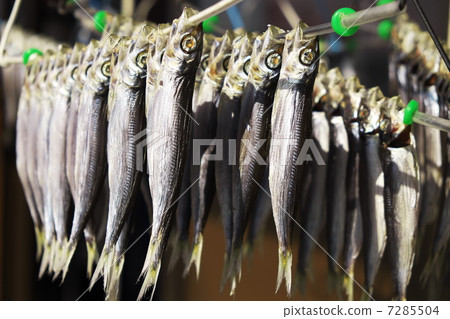 Dried fish Dried fish 7285504